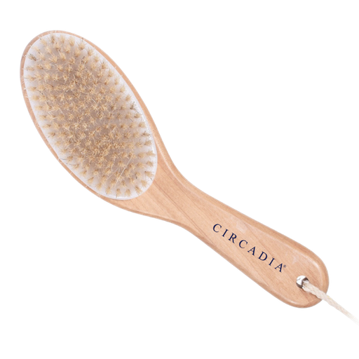 [Circadia PROFESSIONAL PRODUCTS ] BodyBrush Circadia Body Brush